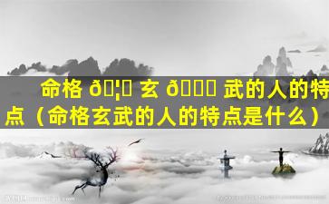 命格 🦁 玄 🕊 武的人的特点（命格玄武的人的特点是什么）